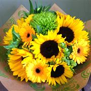 Bold Sunflowers
