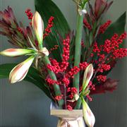 Deep Amaryllis