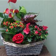 Valentine Planter