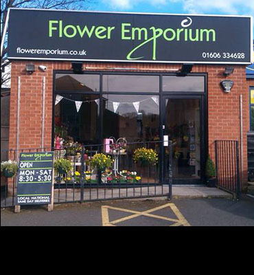 Shop by Occasion