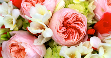 Wedding Flowers